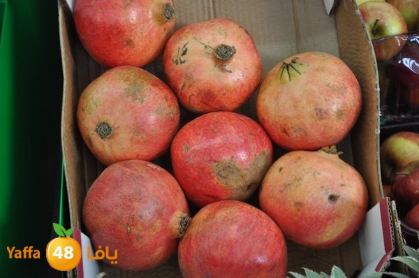 yaffa sooq 0306 (6).JPG